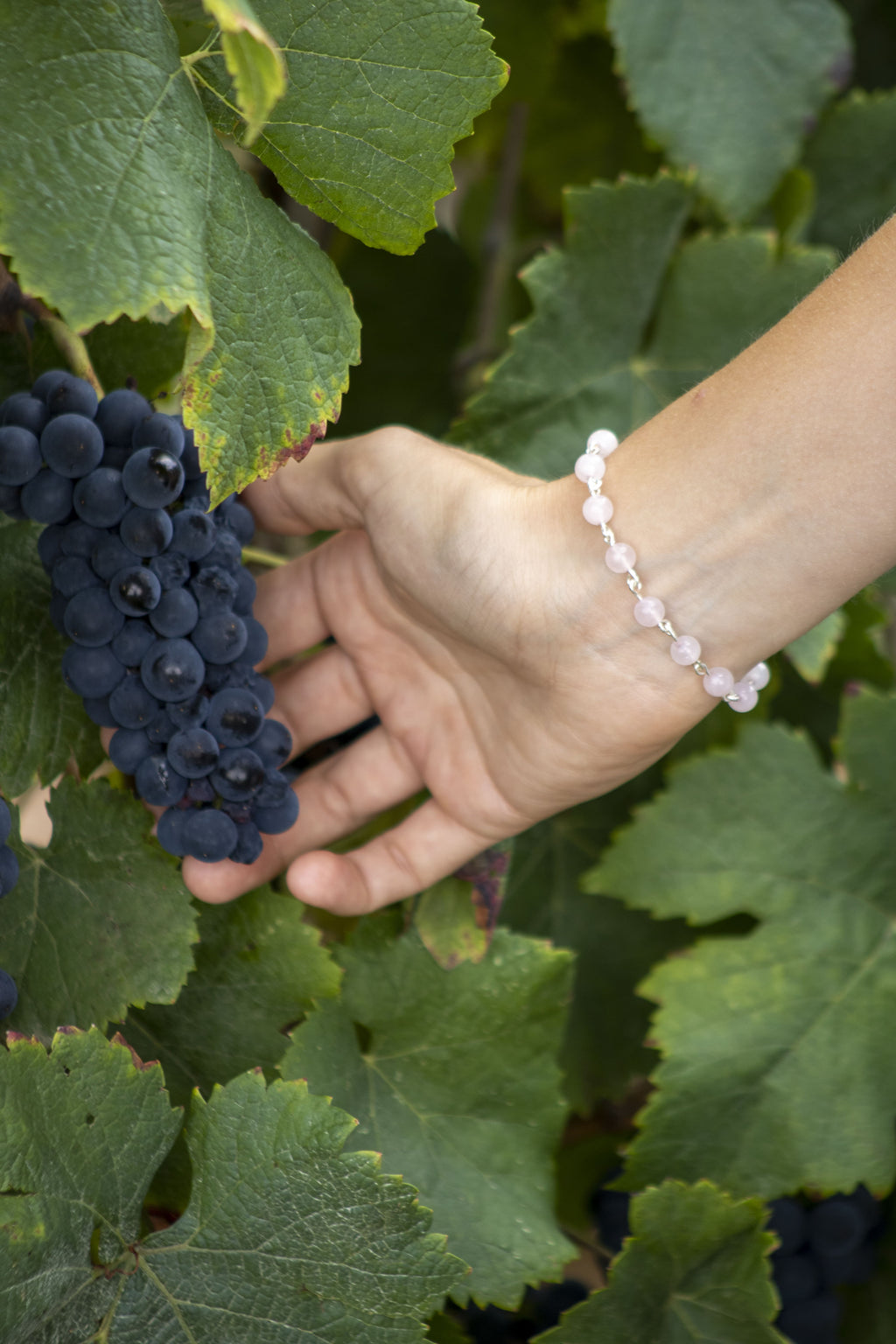 Le Bracelet Ornéa